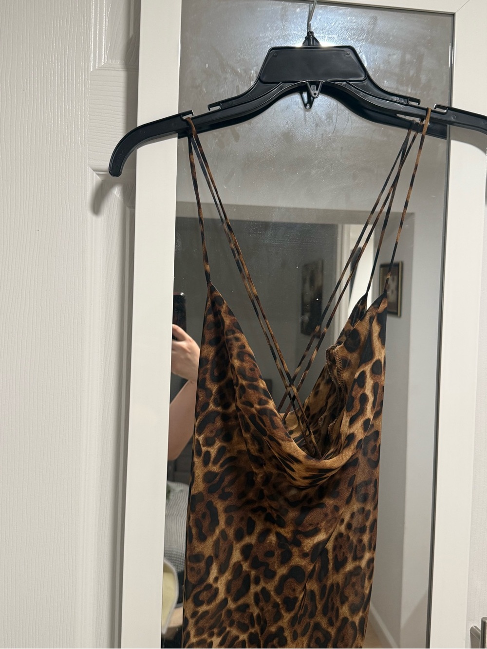 Fashion Nova Brown Leopard Print Sheer Maxi Dress - Picture 2 of 5